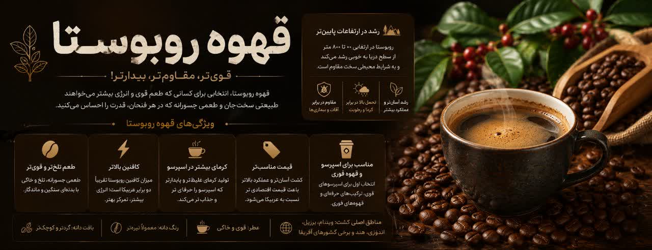 قهوه روبوستا چیست؟